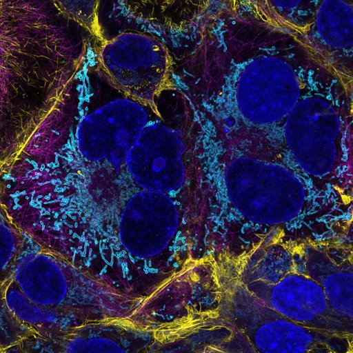 ESRIC - The Edinburgh Super-Resolution Imaging Consortium, is a National open access microscope facility, focused on super-resolution microscopy.