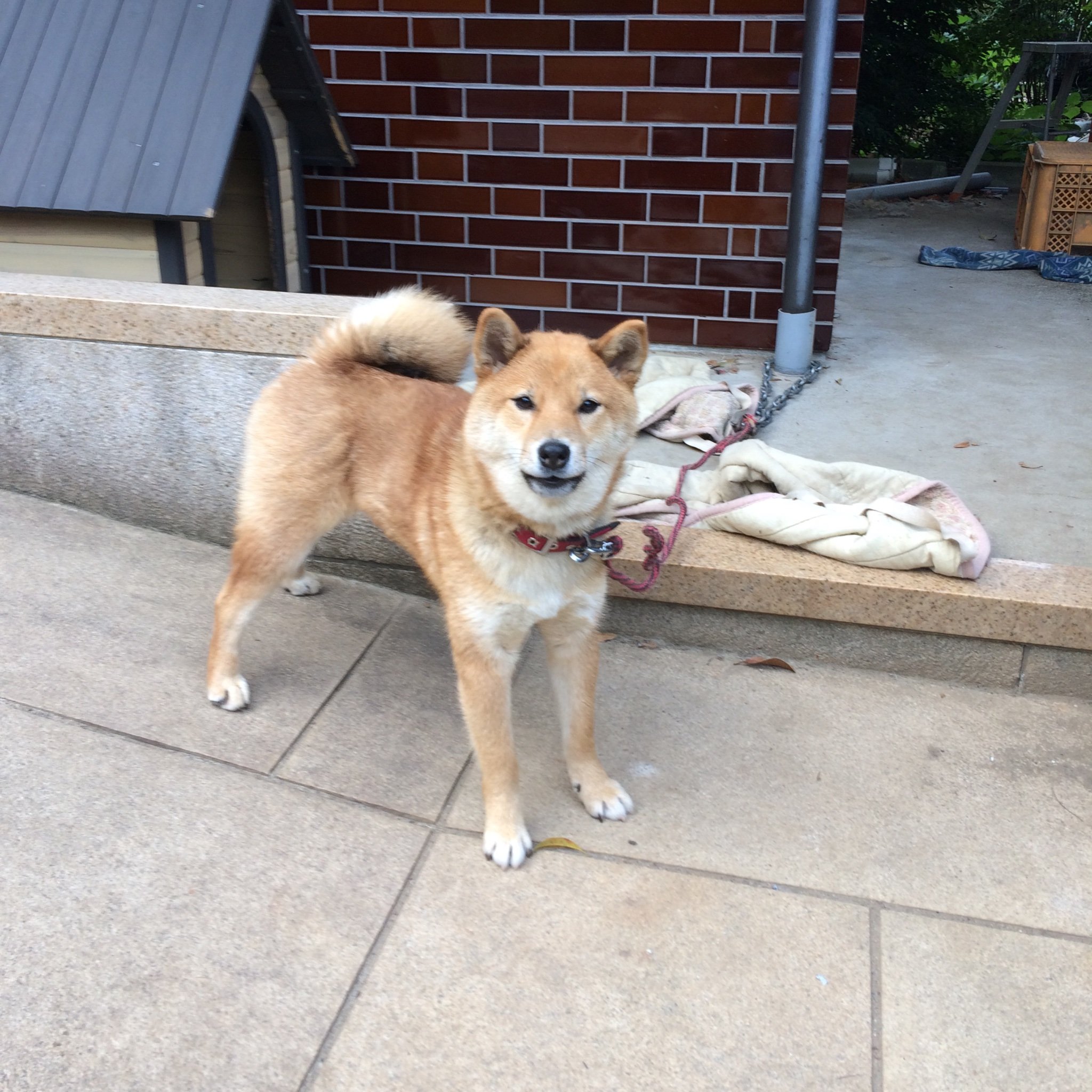 j7fpp's profile picture. 不動産投資、株式投資をやっています。 よろしくお願います！