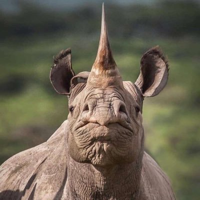 Engmahewabassu's profile picture. Agricultural & water resources Engineer. A philanthropist,family man. 🇹🇿