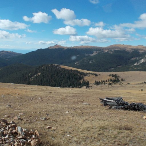 BoutiqueOnState's profile picture. Shop small, support makers, live free, Progressive Democrat, Inclusivity, Love is love