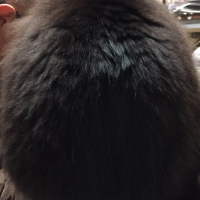 淫靡降臨魔男園 シポレム 不気味なるシポレムさんのプロフィール画像