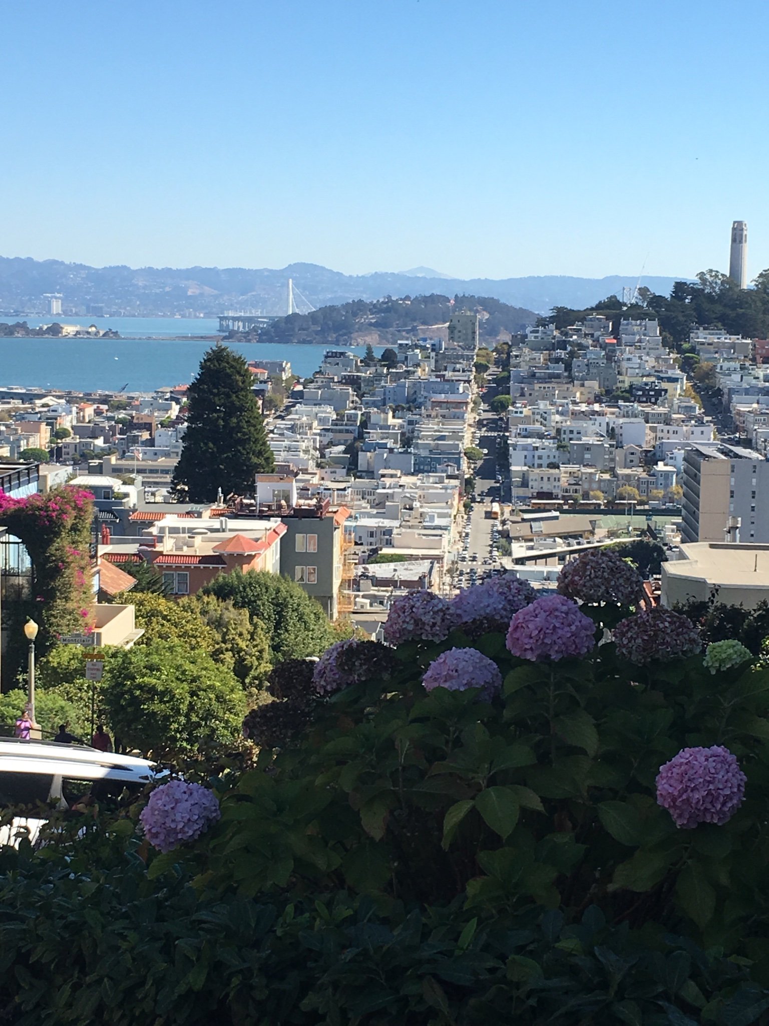 AMANDACZ85's profile picture. Love to read & watch The Walking Dead