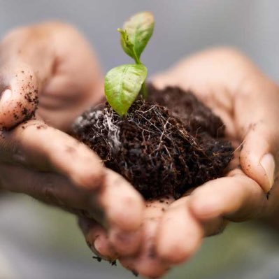 Urban farm founded by students at #XULA for the purpose of providing an additional source of healthy and affordable food options to New Orleans residents.