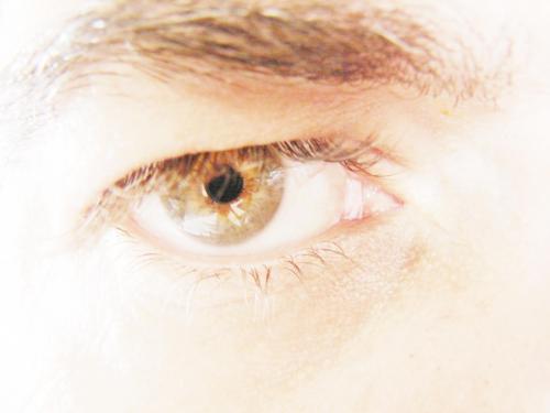 VidalMelo's profile picture. Repórter Fotográfico.