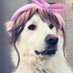 90 Day Bidet ๐ (@90_day_bidet) Twitter profile photo 90 Day Bidet ๐ (@90_day_bidet) Twitter profile photo