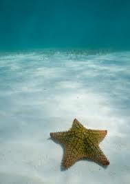 chultquist's profile picture. 