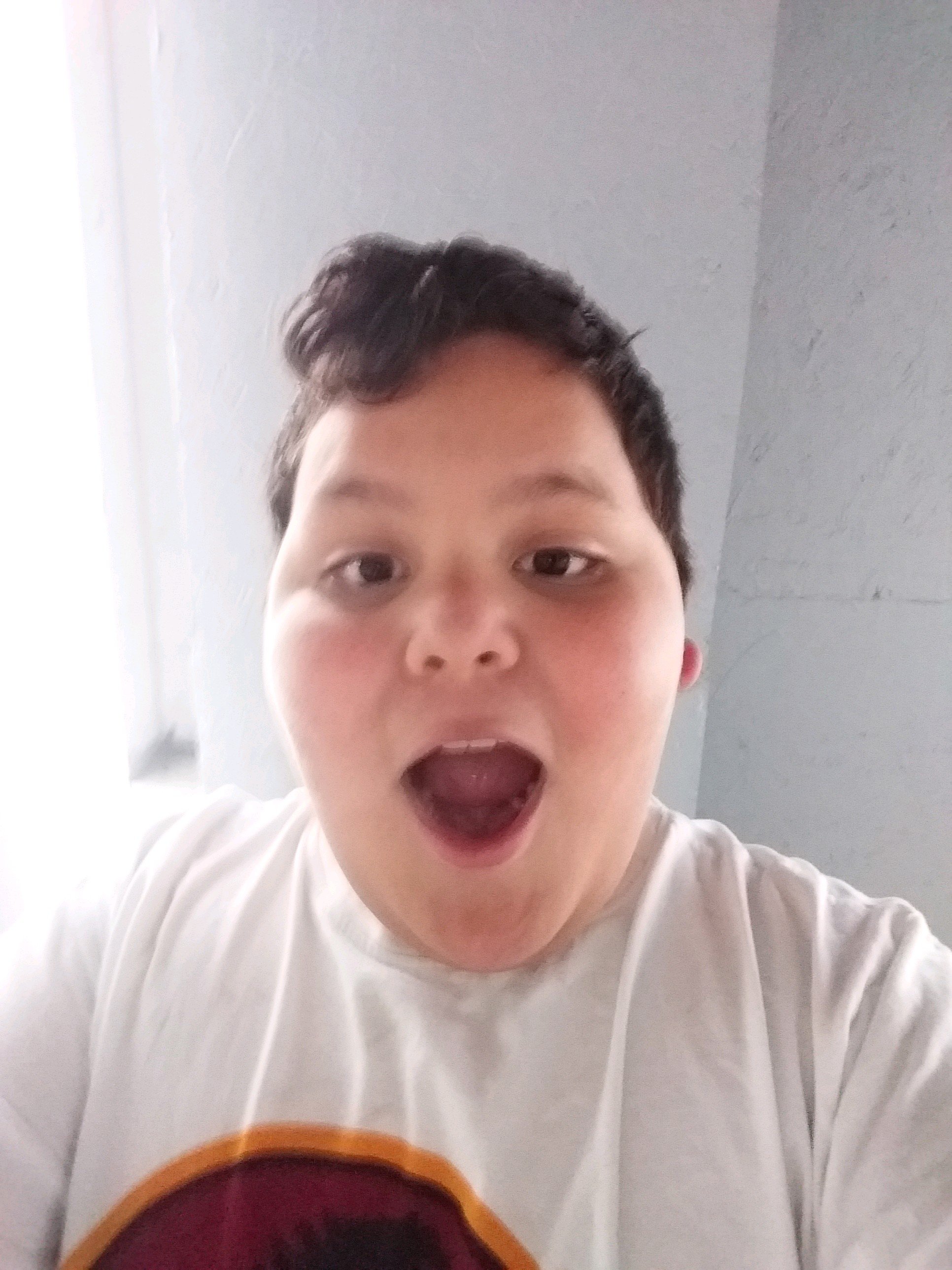 Im a 11 Year old youtuber, I am Victor, play roblox and most of all I like soda.