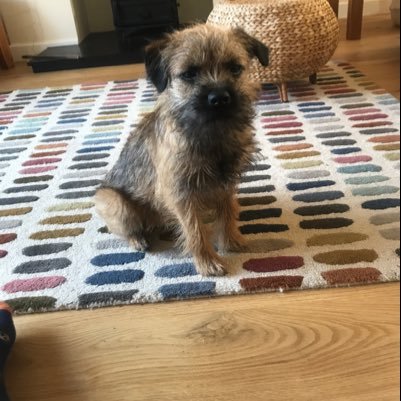 PiptheT's profile picture. 