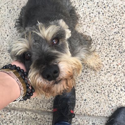 Aagm94's profile picture. 