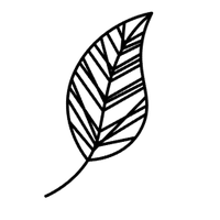 Bloemify (@bloemify) 's Twitter Profile