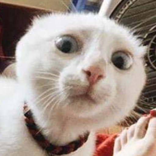 crazyguy78984's profile picture. oofity oof