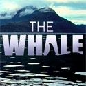 TheWhaleMovie's profile picture. Narrated by Ryan Reynolds, THE WHALE is a family film & true story about an orca who befriends people on the west coast of Canada. trailer: http://t.co/2IwtA59A