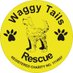 Waggy Tails Rescue (@waggytailsresc) Twitter profile photo Waggy Tails Rescue (@waggytailsresc) Twitter profile photo