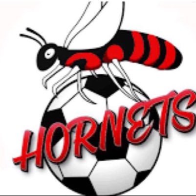 Histon Hornets Adults Division 3B Cambridge County League