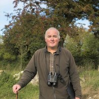 Tony Nagle (@nagletony) 's Twitter Profile