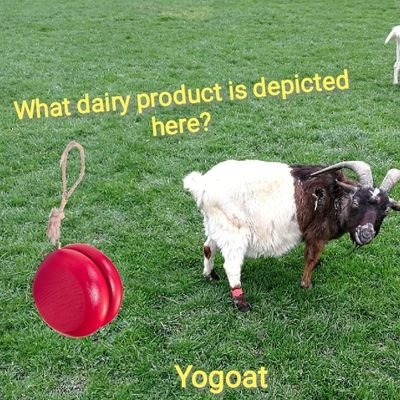 Birdjokes1's profile picture. At least 50% jokes about birds. Guaranteed.