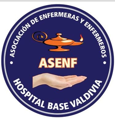 Asociación de Enfermeros y Enfermeras del Hospital Base Valdivia