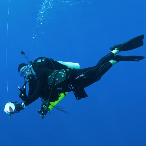 Bióloga Marinha apaixonada pelo mar, a vida marinha, acústicas marinas, pesquerías y elasmobranquios. PhD Biological Oceanography UPR 🇵🇷 #Borinqueña