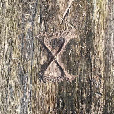 Ryu05132232's profile picture. 