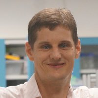 Thomas Seviour (@incottonwool) 's Twitter Profile