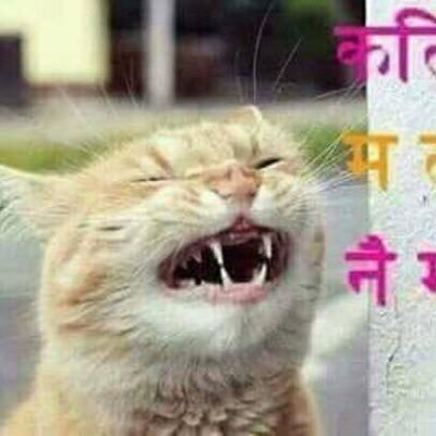 monu78060306's profile picture. 