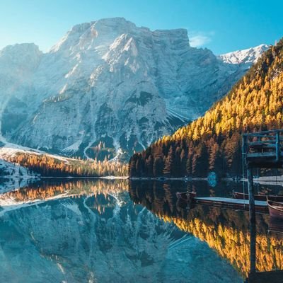 LMludo7's profile picture. 