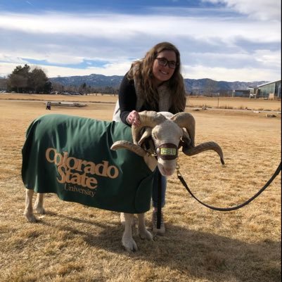 Carolineppers0n's profile picture. backup account