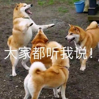 8XAPiJ97XOfoHBX's profile picture. 我会飞