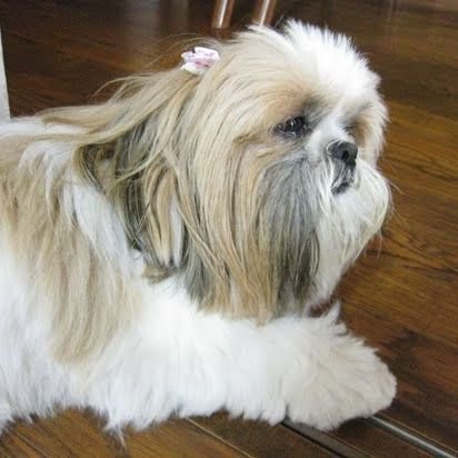 pora823's profile picture. 