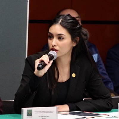 Diputada Federal en la LXIV Legislatura. Consejera Nacional del @PRDMexico