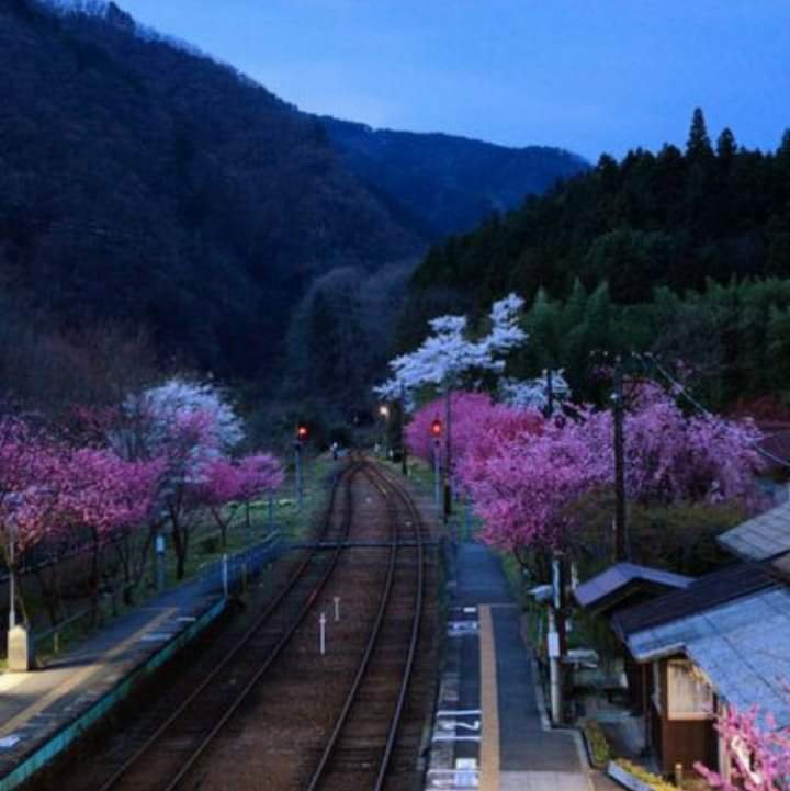 vinodp11590693's profile picture. 