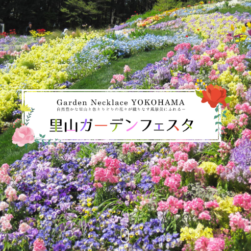 全国都市緑化よこはまフェア（2017年）を継承し、自然豊かな里山と色とりどりの花々をお楽しみいただく「里山ガーデンフェスタ」を春と秋に開催しています。
約10,000m2の「横浜の花で彩る大花壇」はフェスタ期間中のみの限定公開ですので、ぜひご来場ください！
（コメントへの返信は基本的に行いません。）