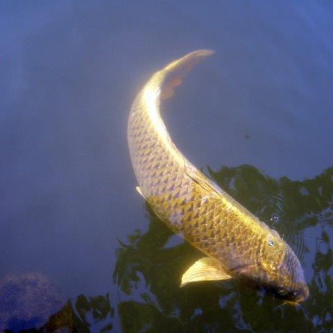 DouglasAyling's profile picture. Please use: http://t.co/EOFTkOqag6