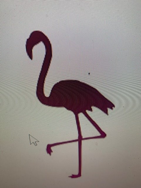 flamingoclub1's profile picture. Cybersecurity, Data Breach Handling, Data Protection, GDPR