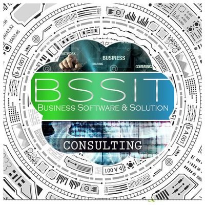 bssit's profile picture. software solution consulting and for efficient business performance