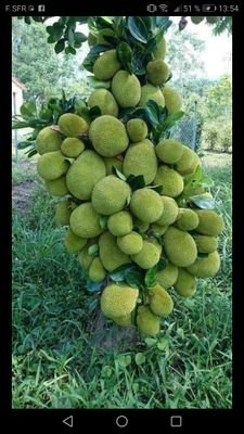 sokoment's profile picture. A vous de me dire