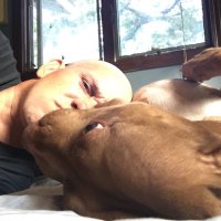 Michael Carroll (@michael63472370) 's Twitter Profile
