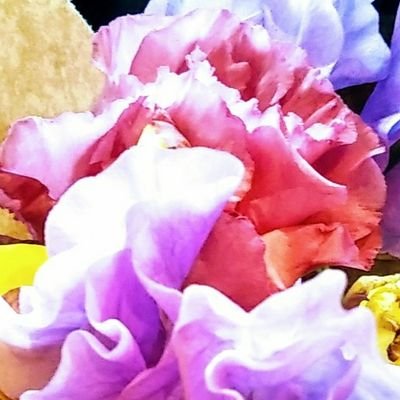 ガーデンゴッコラ 花言葉 21 08 23 月下美人 はかない恋 仙台の銘菓 うつくしい儚さの代表選手 こんな美しい恋がいいなあ 恋 霜柱 食べ物で生きています 恋も食べ物のように お誕生日おめでとうございます