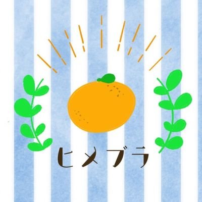 愛媛県スマブラオフ大会 ヒメブラさんのプロフィール画像
