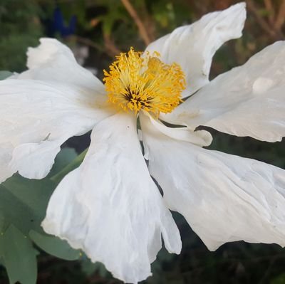 lucely27's profile picture. Official Member.....TEAMCHAYANNE_NHI