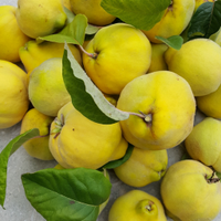 allthatsheeats (@allthatsheeats) 's Twitter Profile Photo