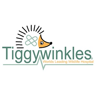 TiggywinklesUK Profile Picture