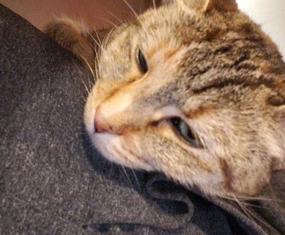 Derek32425804's profile picture. Here for the nonsense.