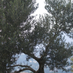 Yaffa Hajos (@HajosYaffa) Twitter profile photo Yaffa Hajos (@HajosYaffa) Twitter profile photo