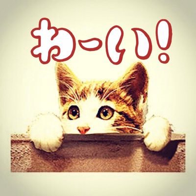 大の猫好き😘｡車もアニメも声優も好き。最近アイドルのJYA☆PON 望月るか🌷(@Jyapon_ruka)、愛猫ナツ🐈🐾💘推し｡ はるちゃんForever🐶(≧◡≦)⋆⸜❤️⸝‍⋆