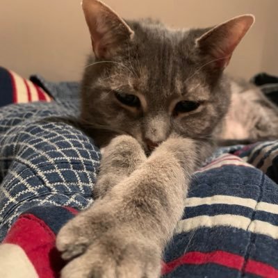 iitsPrime_'s profile picture. Fornite || Music Producer