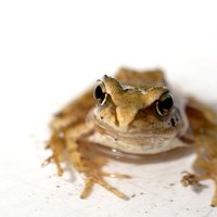 MOMS 7th Grade Science (@7thmoms) 's Twitter Profile Photo