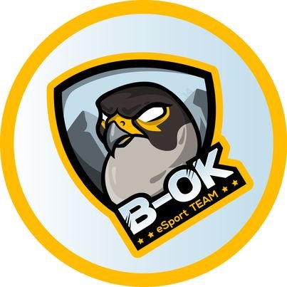 eSports Team Competitive (Official Account) 🦅
