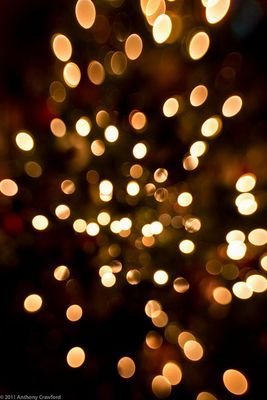 ManishMitra16's profile picture. Life is nothing, but an empty dream