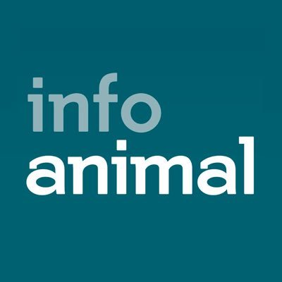 Coordinador de la revista #INFOANIMAL, 132 páginas a todo color en defensa de los animales. Blog: https://t.co/4CfpeVPJMw